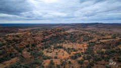 DJI_20250807174503_0052_D